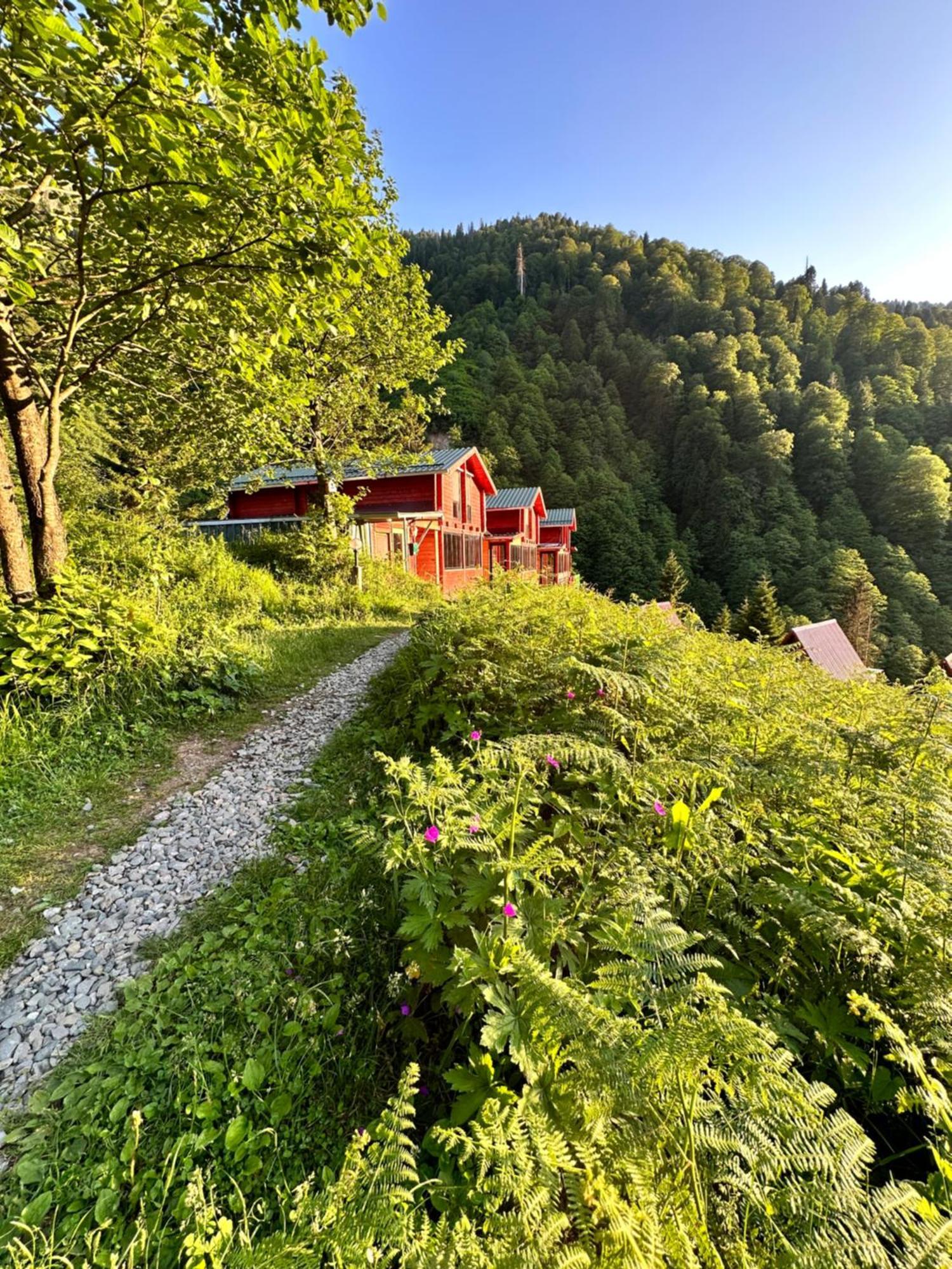 Ayder Villa Gencal Exterior foto